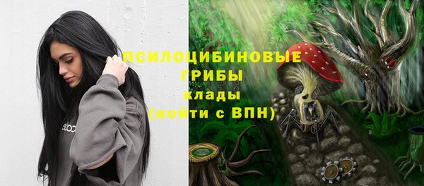 бошки Баксан