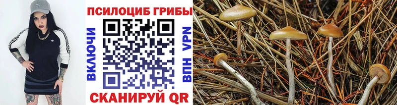 Псилоцибиновые грибы мухоморы купить Иркутск