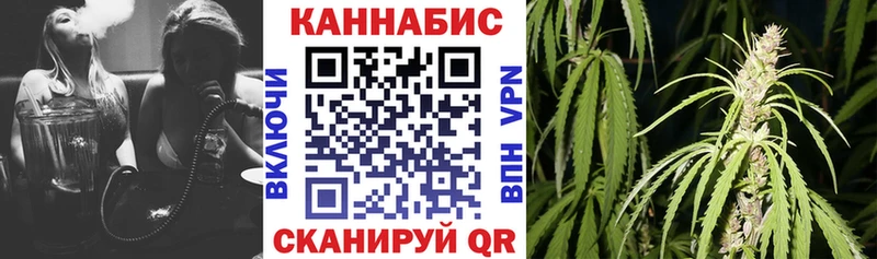 Шишки марихуана тримм  мега маркетплейс  Иркутск 